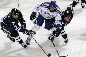 KAIYUN 中国大陆-德甲节奏飞快：攻守转换妙不可言！，德甲打法特点