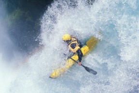 Kaiyun官方登录入口-“南非羚羊队在萨尔·巴赫的引领下取得连胜”