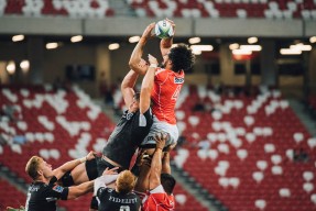 kaiyun官方入口登录-中国女排出战新加坡站全力冲击冠军，中国女排新华网